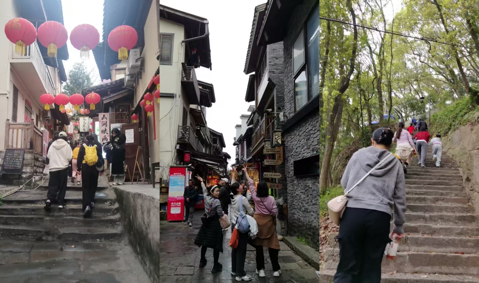 微信图片_20260309154331_278_115 微信图片_20260309154331_278_115